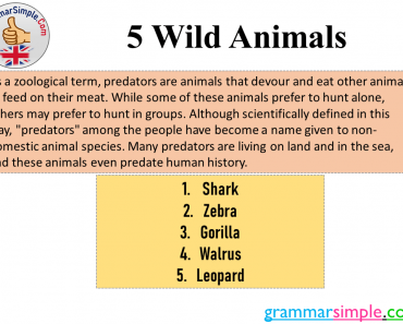5 Wild Animals, Wild Animals Names List