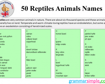 50 Reptiles Animals Names List in English