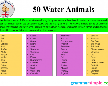 50 Water Animals Names in English