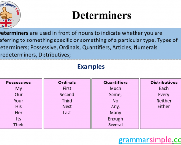 Determiners Class 11, Definition and Example Sentences