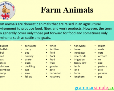 Farm Animals, Domestic Farm Animals List and Examples