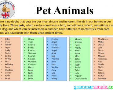 Pet Animals, Popular Pet Animals Names List