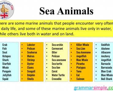 Sea Animals Names, Types of Sea Animals and Examples