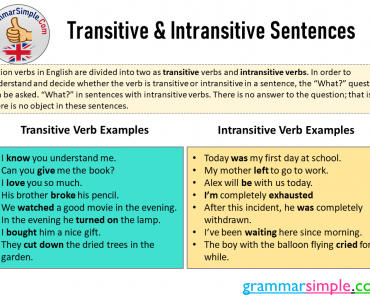 Transitive and Intransitive Sentences Examples, Difference Between Transitive and Intransitive