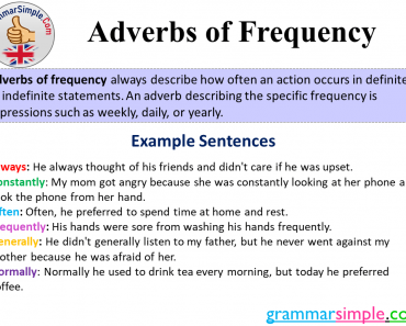 What is Adverb of Frequency? Adverbs of Frequency Definition and Example Sentences