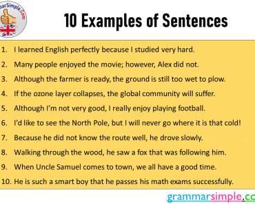 10 Examples of Sentences in English