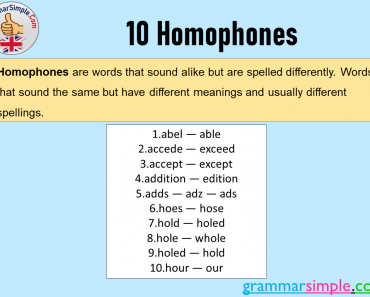 10 Homophones List in English