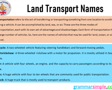 10 Land Transport Name List in English