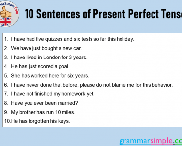 10 Sentences of Present Perfect Tense