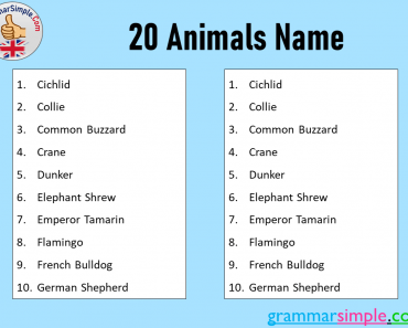 20 Animals Name in English