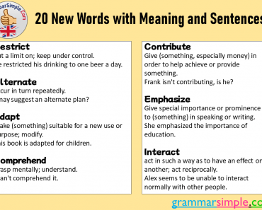20 New Words with Meaning and Sentences