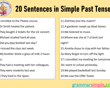 20 Sentences in Simple Past Tense in English