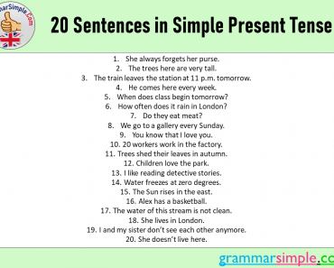 20 Sentences in Simple Present Tense, Examples of Simple Present Tense Sentences
