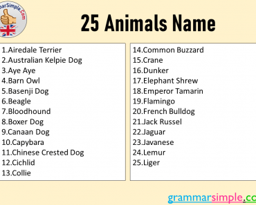 25 Animals Name List in English