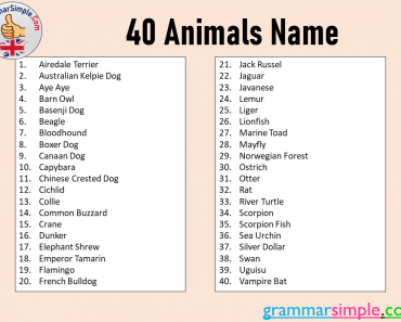 40 Animals Name in English
