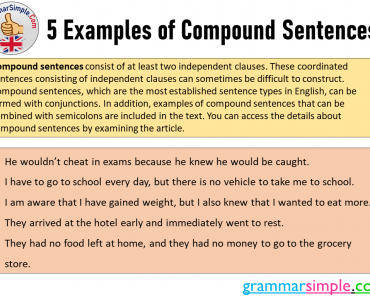 5 Examples of Compound Sentences in English