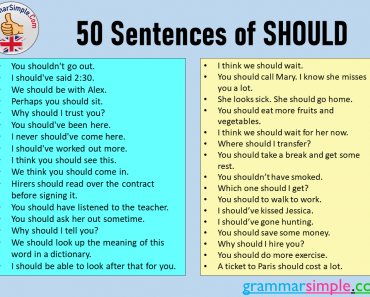 50 Sentences of Should, Example Sentences with Should
