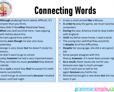 Connecting Words and Example Sentences in English