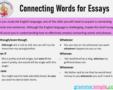 Connecting Words for Essays and Example Sentences