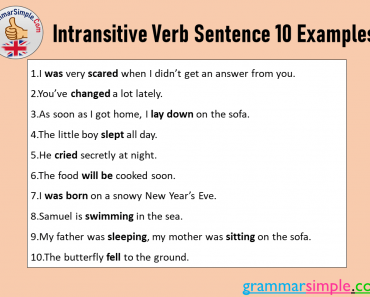 Intransitive Verb Sentence 10 Examples