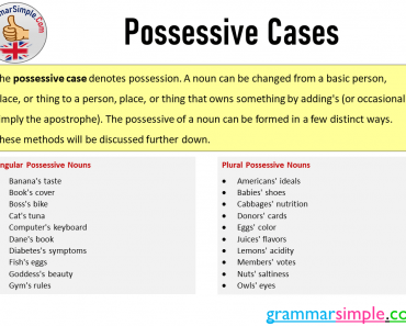 Possessive Case of Nouns, Singular and Plural Possessive Nouns List