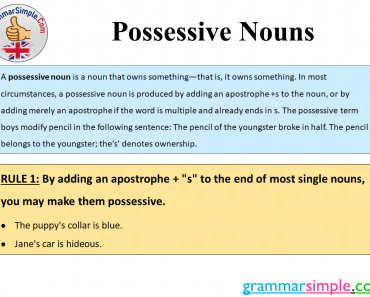 Possessive Nouns Apostrophe Rules and Examples