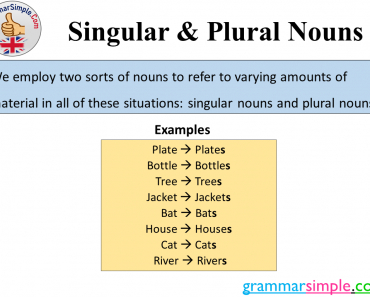 Singular and Plural Nouns Definition, Examples and Sentences
