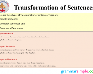 Transformation of Sentences Types and Example Sentences