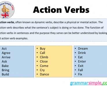 What are The Action Verbs? Action Verbs List and Example Sentences