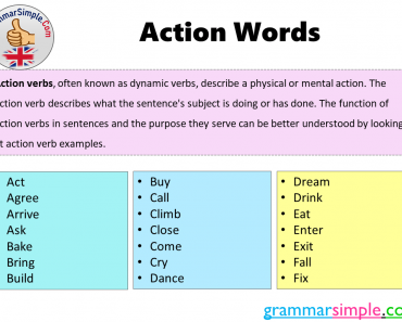 What are The Action Words? Action Words List and Example Sentences