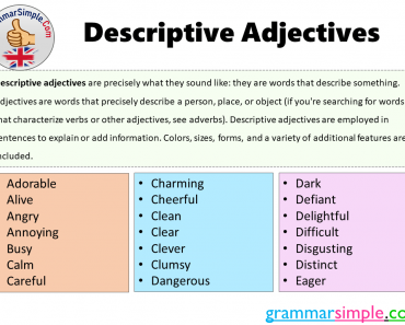 What are The Descriptive Adjectives? Descriptive Adjectives Examples and Definition