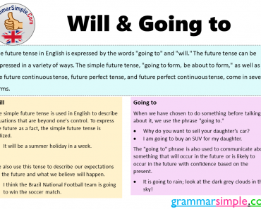 Will and Going to Exercises, Will and Going to Example Sentences and Definition