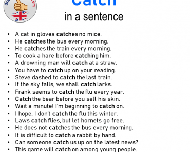 Catch in a sentence, Sentences with Catch